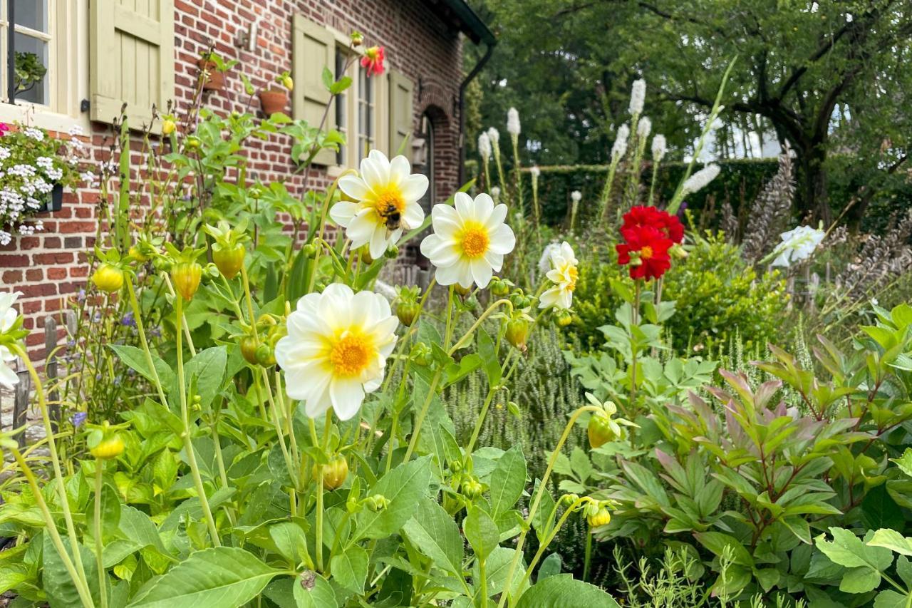 B&B De Paenhoeve Eksel Extérieur photo